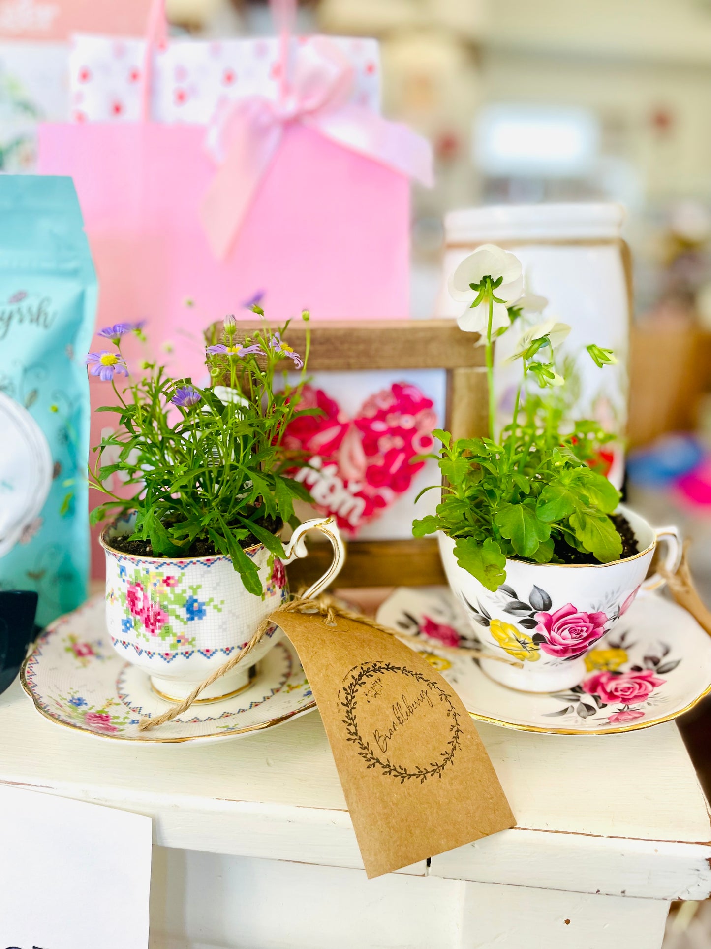 Brambleberry - Teacup Planter