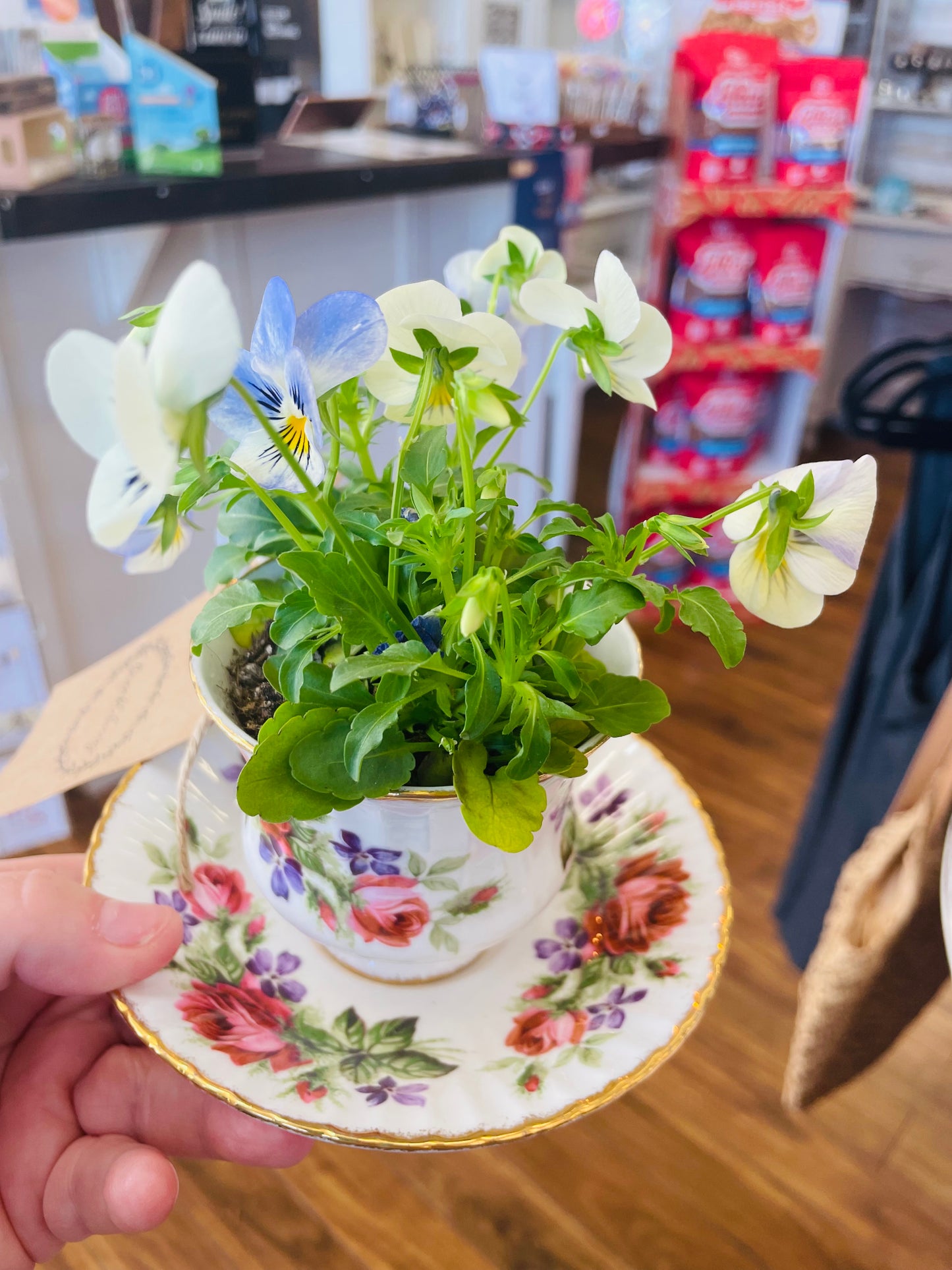 Brambleberry - Teacup Planter