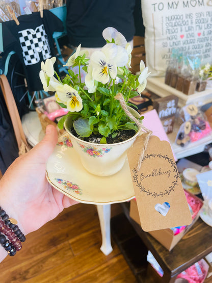 Brambleberry - Teacup Planter