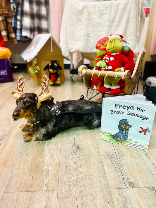 Freya the Brave Sausage Book