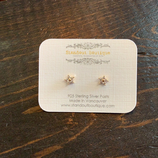 Standout Boutique - Star Studs