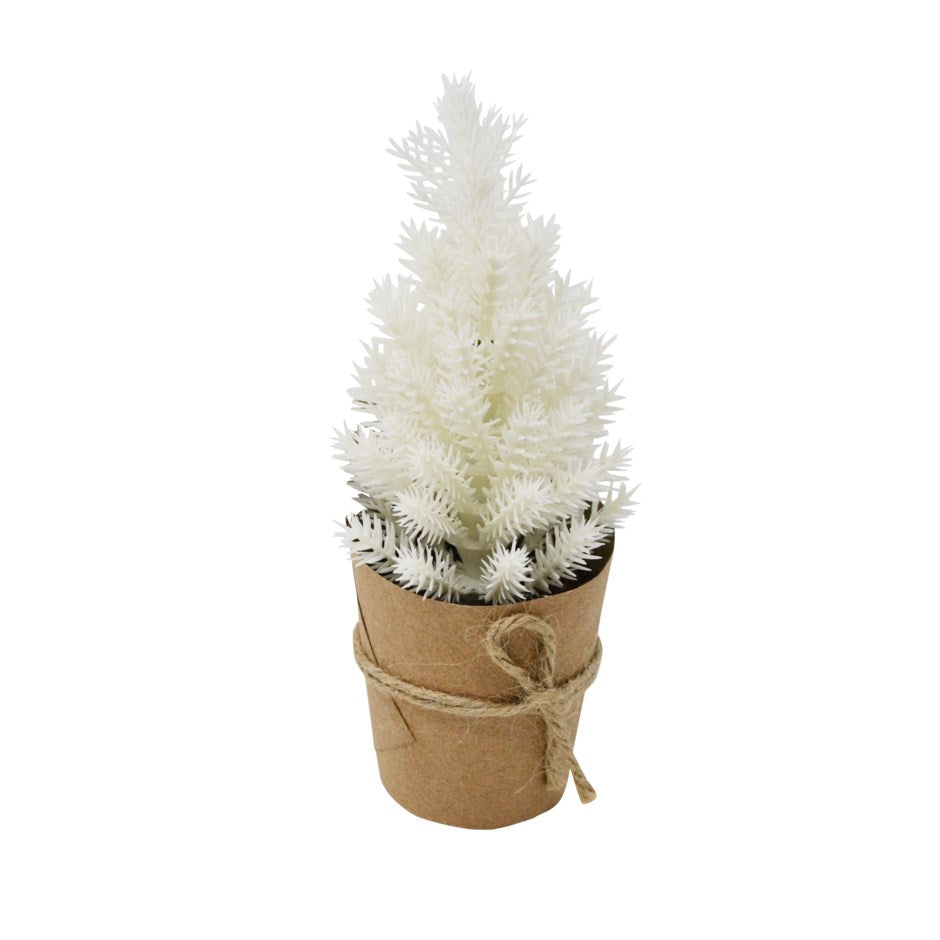 Town & Country - White Fir Tree - Kraft Paper Base