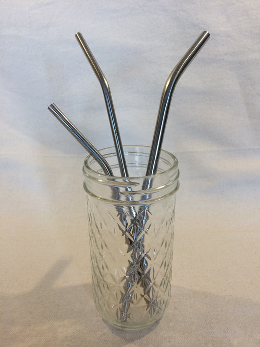 Mason Jar Merchant -  Metal Straws